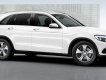 Mercedes-Benz Smart 250 2016 - Bán xe Mercedes-Benz GLC 250 sản xuất 2017 đủ màu giao xe tháng 03