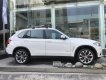 BMW X5 xDrive 35i 2017 - Bán BMW X5 xDrive 35i đời 2017, màu trắng, nhập khẩu nguyên chiếc