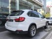 BMW X5 xDrive 35i 2017 - Bán BMW X5 xDrive 35i đời 2017, màu trắng, nhập khẩu nguyên chiếc