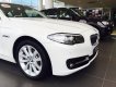 BMW 5 Series 520i 2017 - Bán xe BMW 5 Series 520i 2017, màu trắng, nhập khẩu chính hãng, giá rẻ nhất