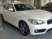 BMW 1 Series 118i 2017 - Bán xe BMW 1 Series 118i 2017, màu trắng, nhập khẩu tại Gia Lai. Giá xe BMW 118i 2017 tại Gia Lai