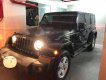 Jeep Wrangler Rubicon. 2010 - Bán Jeep Wrangler Rubicon năm 2010, màu đen, xe nhập 