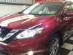 Nissan Murano Platinum 2017 - Bán ô tô Nissan Murano Platinum đời 2016, màu đỏ, nhập từ Mỹ một chiếc duy nhất tại Việt Nam