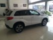 Suzuki Vitara 2017 - Bán xe Suzuki Vitara đời 2017, màu xanh trắng, nhập khẩu nguyên chiếc