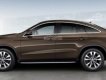 Mercedes-Benz GLE-Class  450 2016 - Bán Mercedes Coupe 450 2016, màu nâu, nhập khẩu chính hãng