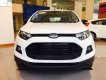 Ford EcoSport Black Edition 2018 - Bán Ford Ecosport 1.0L đời 2018 khuyến mãi lớn, nhiều màu giao xe ngay, hỗ trợ vay trả góp, liên hệ hotline: 0942113226