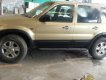 Ford Everest   2002 - Bán Ford Everest sản xuất 2002, màu vàng 