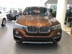 BMW X4 xDrive20i 2017 - Bán xe BMW X4 xDrive20i đời 2017, màu nâu, xe nhập, ưu đãi hấp dẫn, giao xe tại nhà