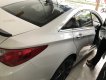 Hyundai Sonata    2010 - Bán xe Hyundai Sonata đời 2010, màu trắng, nhập khẩu