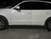 Audi Q5 2010 - Bán Audi Q5 đời 2010, màu trắng, nhập khẩu nguyên chiếc giá cạnh tranh