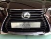 Lexus GS350 AT 2017 - Bán Lexus GS350 AT đời 2017, màu nâu, nhập khẩu nguyên chiếc
