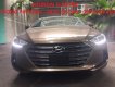 Hyundai Elantra 2017 - Hyundai Elantra màu nâu đà nẵng,LH : TRỌNG PHƯƠNG - 0935.536.365