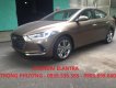 Hyundai Elantra 2017 - Hyundai Elantra màu nâu đà nẵng,LH : TRỌNG PHƯƠNG - 0935.536.365