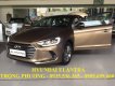 Hyundai Elantra 2017 - Cần bán Hyundai Elantra năm 2017, 575 triệu