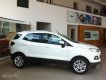 Ford EcoSport 2018 - Cần bán xe Ford EcoSport đời 2018, giá tốt nhất, liên hệ: 0942113226