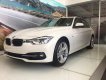 BMW 3 Series 330i 2017 - Bán BMW 3 Series 330i đời 2017, màu trắng, xe nhập, ưu đãi lên tới 50% trước bạ, có xe giao ngay