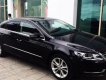 Volkswagen Passat CC   1.8 AT  2013 - Cần bán Volkswagen Passat CC 1.8 AT 2013, màu đen, nhập khẩu chính hãng