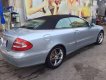 Mercedes-Benz CLK class  CLK 320 2006 - Bán Mercedes CLK 320 đời 2006, màu bạc, nhập khẩu
