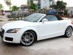 Audi TT Roadster 2008 - Salon bán Audi TT Roadster đời 2008, màu trắng, nhập khẩu nguyên chiếc, 880 triệu