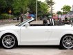 Audi TT Roadster 2008 - Salon bán Audi TT Roadster đời 2008, màu trắng, nhập khẩu nguyên chiếc, 880 triệu