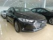 Hyundai Elantra 2019 - Bán Hyundai Elantra 2018, màu nâu đen, các phiên bản MT, AT, mua xe chỉ từ 115 triệu - LH 090.467.5566