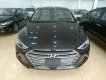 Hyundai Elantra 2019 - Bán Hyundai Elantra 2018, màu nâu đen, các phiên bản MT, AT, mua xe chỉ từ 115 triệu - LH 090.467.5566