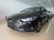 Hyundai Elantra 2019 - Bán Hyundai Elantra 2018, màu nâu đen, các phiên bản MT, AT, mua xe chỉ từ 115 triệu - LH 090.467.5566