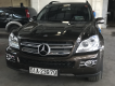 Mercedes-Benz GL-Class  420 CDI 2007 - Cần bán gấp Mercedes-Benz GL420 CDI đời 2007, màu nâu, giá chỉ 1 tỷ 200 triệu, nhập khẩu