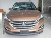 Hyundai Tucson 2018 - Hyundai Tucson sản xuất 2018 màu nâu, hỗ trợ trả góp lên đến 85% - LH: 090.467.5566