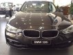 BMW 3 Series 320i 2017 - BMW 3 Series 320i 2017, màu nâu, nhập khẩu
