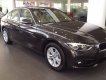 BMW 3 Series 320i 2017 - BMW 3 Series 320i 2017, màu nâu, nhập khẩu