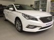 Hyundai Sonata 2017 - Bán ô tô Hyundai Sonata đời 2017, màu trắng, xe nhập, 999 triệu