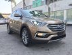 Hyundai Santa Fe   CRDi  2017 - Cần bán xe Hyundai Santa Fe CRDi đời 2017, màu nâu