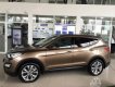 Hyundai Santa Fe   CRDi  2017 - Cần bán xe Hyundai Santa Fe CRDi đời 2017, màu nâu