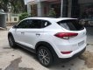 Hyundai Tucson 2016 - Cần bán gấp Hyundai Tucson 2016, màu trắng, nhập khẩu nguyên chiếc