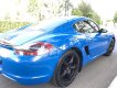 Porsche Cayman 2008 - Bán Porsche Cayman sx 2008, đăng ký lần đầu 2009, nhập khẩu