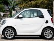 Smart Fortwo Passion 2016 - Bán Smart Fortwo Passion năm 2016, màu trắng, nhập khẩu chính hãng