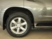 Lexus GX460 4.6 2009 - Bán xe Lexus GX460 4.6 đời 2009, màu xám, xe nhập số tự động