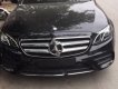 Mercedes-Benz E Class 300 2017 - Bán Mercedes năm 2017, nhập khẩu như mới