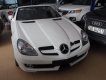 Mercedes-Benz SLK class 200 2010 - Bán ô tô Mercedes SLK 200 đời 2010, màu trắng, nhập khẩu