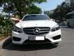 Mercedes-Benz E250 AMG 2015 - Cần bán Mercedes-Benz E250 AMG 2015, màu trắng Ngọc Trinh