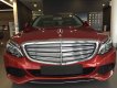 Mercedes-Benz C250 E 2017 - Bán xe Mercedes E 2017, màu đỏ, nhập khẩu chính hãng