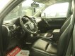 Lexus GX460 4.6 2009 - Bán Lexus GX460 sx 2009, đăng ký 2010. Lexus GX460 sử dụng động cơ V8, 4.6L
