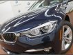 BMW 3 Series 330i 2017 - BMW 330i 2017 - Ưu đãi hấp dẫn, có xe giao ngay