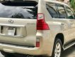 Lexus GX460 2009 - Cần bán Lexus GX460 sản xuất 2009, màu vàng, nhập khẩu chính hãng