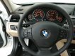 BMW 3 Series 320i 2017 - Bán xe BMW 320i 2017, màu trắng, nhập khẩu chính hãng, có xe giao ngay, giá rẻ nhất