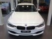 BMW 3 Series 320i 2017 - Bán xe BMW 3 Series 320i 2017, màu trắng, nhập khẩu. Rất nhiều ưu đãi từ đại lý, có xe giao ngay