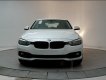 BMW 3 Series 320i 2017 - Bán xe BMW 320i 2017, màu trắng, nhập khẩu chính hãng, có xe giao ngay, giá rẻ nhất