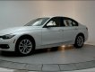 BMW 3 Series 320i 2017 - Bán xe BMW 320i 2017, màu trắng, nhập khẩu chính hãng, có xe giao ngay, giá rẻ nhất