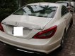 Mercedes-Benz CLS 350 2011 - Bán xe Mercedes Mercedes CLS350 model 2012, màu trắng, nhập khẩu nguyên chiếc